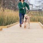Easier Support for Your Dog's Digestive Health: Probiotic Chew