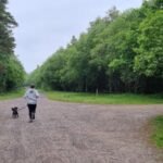 Am I a Real Runner? Embracing Every Pace
