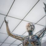 Healthy Circulation: The Key to Whole