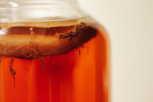 Unveiling Kombucha: Exploring the Fermented Elixir