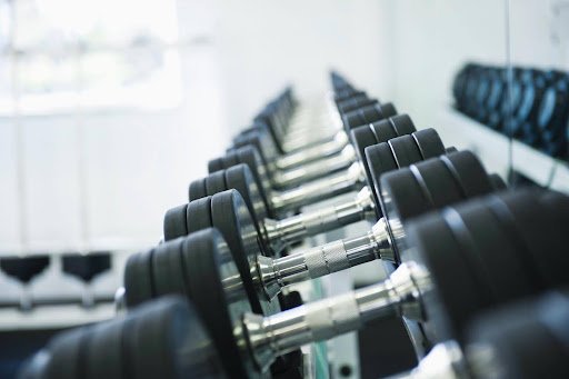Understanding the Modern Gym Structure