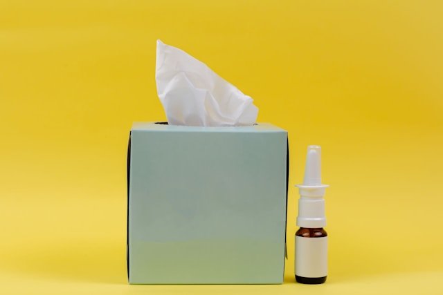 The Link Between Indoor Air Quality and Allergies