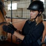 The Significance of Bridles in Horse Riding