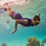Top 7 Educational Summer Camps for Snorkeling and Sailing