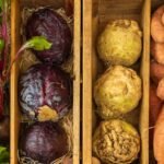 Vikki Nicolai La Crosse: Planning Holiday Recipes with Seasonal Organic Vegetables